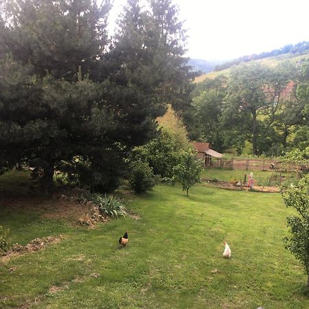 Gites De Gobertier Saint-Alban-d'Ay Екстер'єр фото