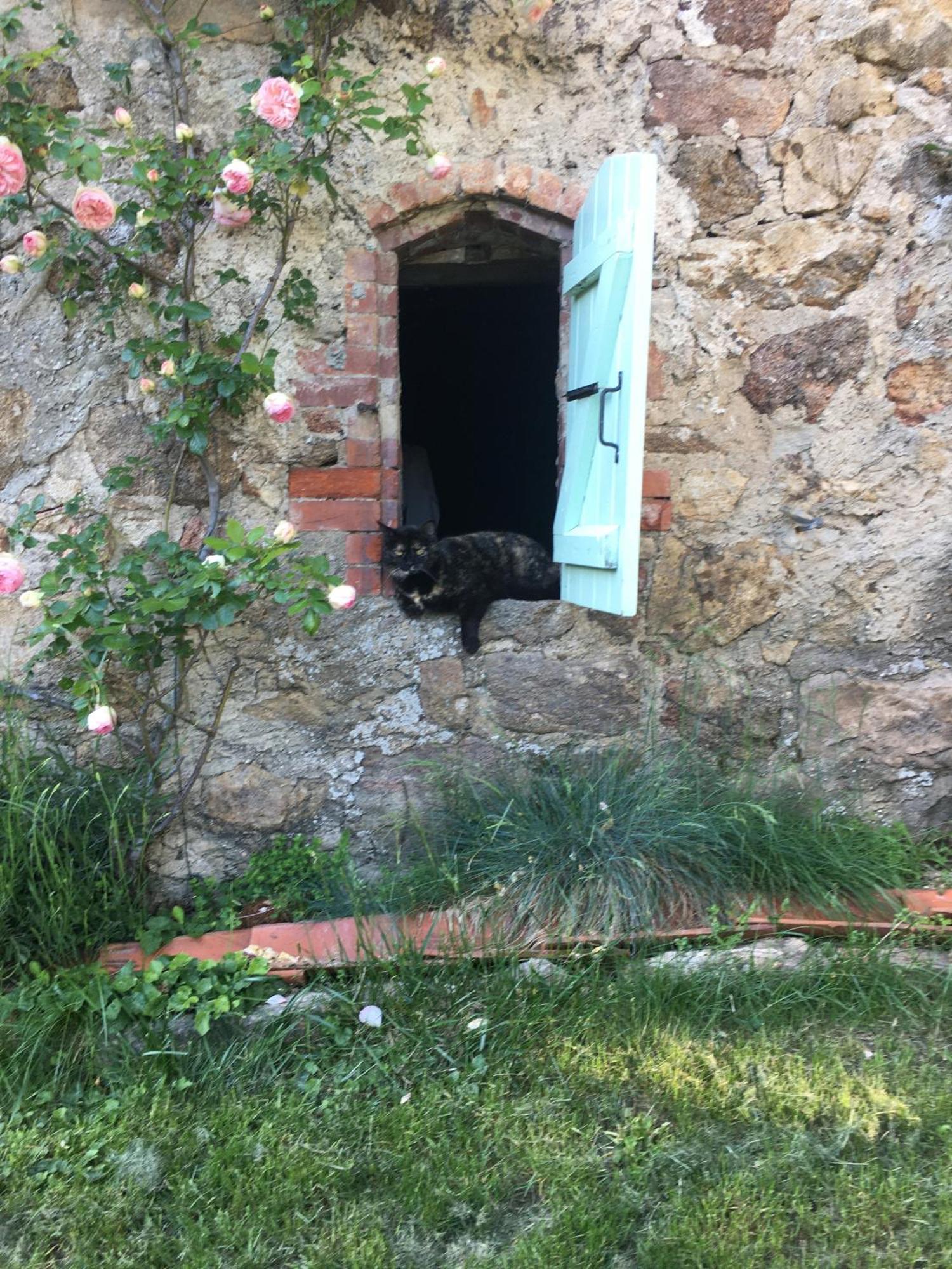 Gites De Gobertier Saint-Alban-d'Ay Екстер'єр фото